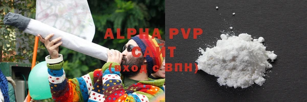 PSILOCYBIN Верея