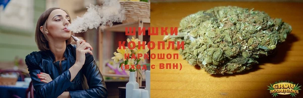 PSILOCYBIN Верея