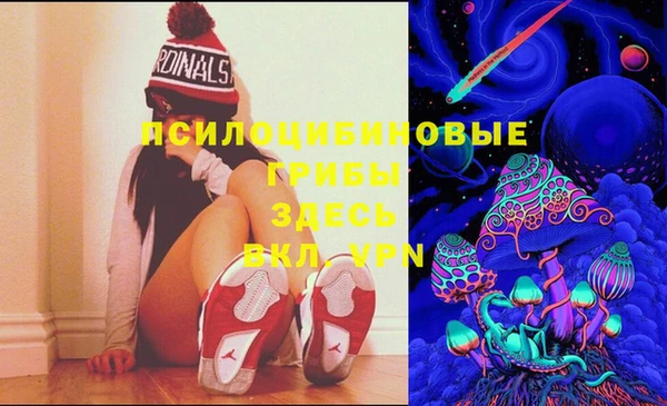 PSILOCYBIN Верея