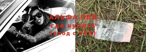 PSILOCYBIN Верея