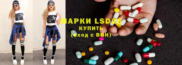 PSILOCYBIN Верея