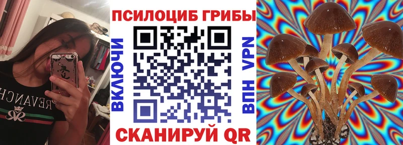 купить наркотик  Вологда  Галлюциногенные грибы ЛСД 